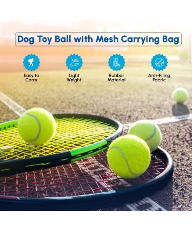 ACCURATE Durable Sport Play Tennis Cricket Dog Toy Ball with Mesh Carrying Bag Sturdy & Durable Great For Lessons Practice Throwing Machines Adults Children Exercise Pets 3 PK - Buy Online on GoSupps.com