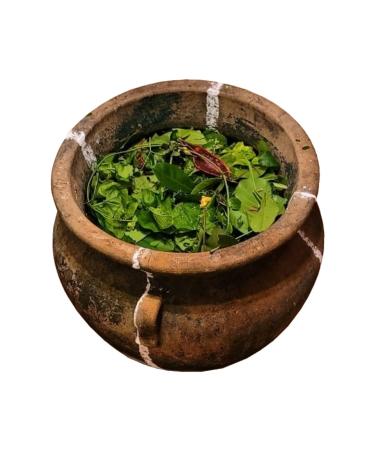 Omi Ero de 141 Hierbas Frescas - Purifying Herbal Blend for Global Shipping - Buy Online on GoSupps.com