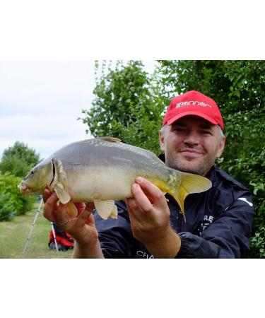 Tandem Baits MF Diffusion Micro Boilies Carp Fishing Bait 8mm 20g - Buy Online on GoSupps.com