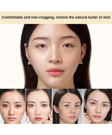 Moisturizing Double-Layer Cushion Compact Japan's Double-Layer Air Cushion 3-Color Concealer for Skin and Refreshing Makeup (2PCS) - Buy Online on GoSupps.com