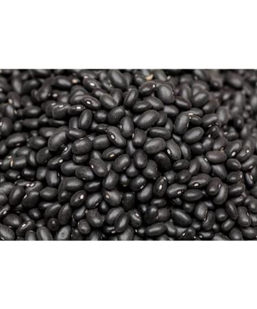Buy Gourmet Black Beans | Dried Whole Beans - Natural Protein Boost (400g) | International Shipping Available - Buy Online on GoSupps.com