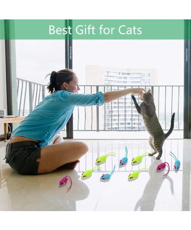 Cat Toys 10 Pcs Variety Kitten Toys Interactive Mouse Toys for Teeth Cleaning Playing Chewing Training Artificial Mouse Cat Toys for Indoor Cats Adult Young (Random Color) - Buy Online on GoSupps.com