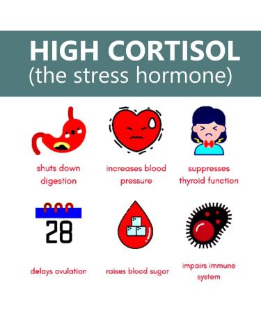 Holistic MD Lower Cortisol for Women and Men - Best Cortisol Blocker with Clinically Researched Ingredients - Sugar Free with Monk Fruit - 60 Chocolate Strawberry Flavor Gummies - Buy Online on GoSupps.com