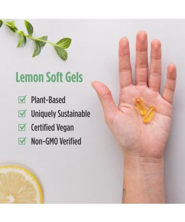 Nordic Naturals Ultimate Omega Plant Based Vitamin with Vitamin D3+K2-60 Vegetarian Soft Gels - 1210 mg Omega-3s Plus 2000 IU D3 and 90 mcg K2 - Promotes Brain Health - Non GMO - 30 Servings - Buy Online on GoSupps.com