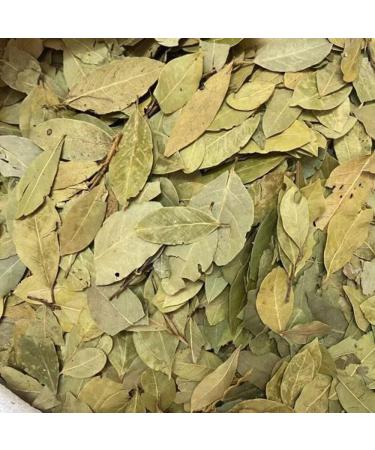 Bay Leaf Myrcia Myrciariagenus Myrciaria Laurel Leaf yueguiye Laurus Nobilis Bayleaf Bay Leaves lambkill bayleaves Laurel Leaves (8 oz) - Buy Online on GoSupps.com