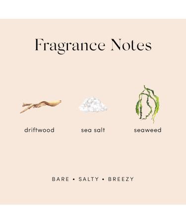Salt Air Perfume By Skylar - Travel-Sized Rollerball - Paraben-Free Phthalate-Free Vegan and Cruelty-Free Fragrance - Salty and Breezy - With Notes of Sea Salt and Driftwood (10mL / 0.33 fl oz) - Buy Online on GoSupps.com