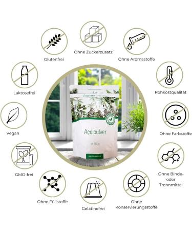 Vivanutria Acai Powder 500g - Organic Vegan Smoothie & Muesli Topping - Pure Acai Berries No Additives or Preservatives - Buy Online on GoSupps.com