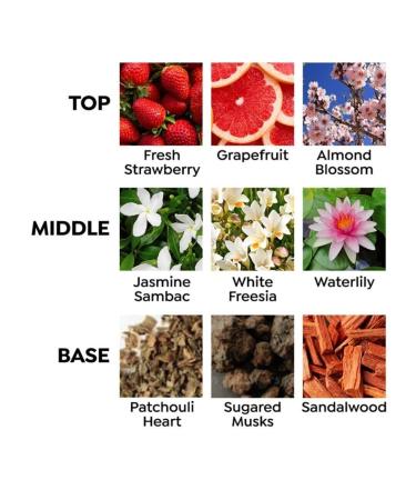 Lionel Richie Easy Like Sunday Morning for Women - 3.4 oz EDP Spray - Buy Online on GoSupps.com