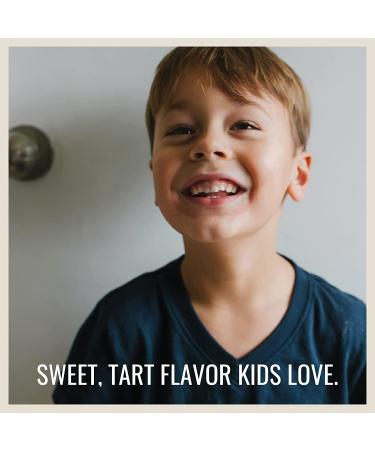 Nature's Way Sambucus Gummies for Kids - Standardized Elderberry, 60 Count - Buy Online on GoSupps.com