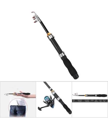 Portable Mini Pocket Fishing Rod - Travel-Friendly Stainless Steel 1m for Carp Pike & Sea Fishing - Buy Online on GoSupps.com