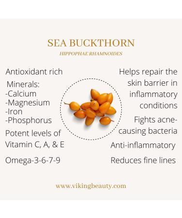 Viking Beauty Secrets Day Cream - Anti Aging Face Cream with Nordic Antioxidant Berries - Face Moisturizer with Hyaluronic Acid to Replenish Lost Moisture - 1 Fl Oz - Buy Online on GoSupps.com