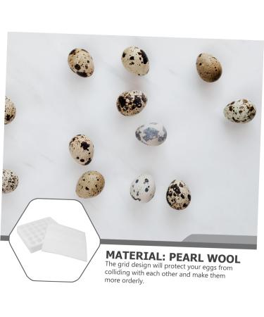 Mikikit 2pcs Egg Tray Fridge Egg Holder Kitchen Egg Holder Egg Carrier Pearl Cotton Household White Egg Rack - Buy Online on GoSupps.com