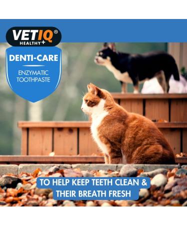 VETIQ Denti-Care Enzymatic Toothpaste 70g Advanced Formula Helps Fight Tartar &Reduce Dental Plaque. for Dogs and Cats. - Buy Online on GoSupps.com