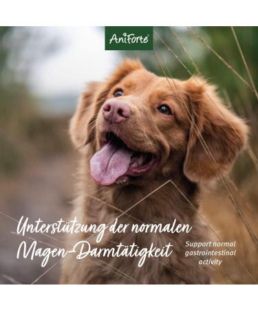 AniForte Psyllium for Dogs Cats & Horses 1kg | High Fiber Natural Supplement for Gut Health & Weight Management - Buy Online on GoSupps.com