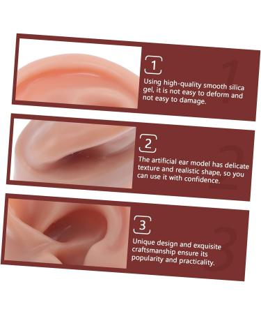 Silicone Human Ear Model for Massage, Piercing, and Simulation | Ear Display Body Kit | Healeved 6.5x3.5cm - Buy Online on GoSupps.com