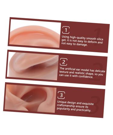 Angoily Human Ear Acupuncture Model - 1pc Silicone Display Ear Simulator for Massage & Learning | 6.5x3.5cm - Buy Online on GoSupps.com