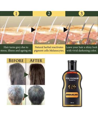  None Brand Natural Darkening Shampoo for Reverse Gray & White Hair Volumizing & Moisturizing Nourish Organic Hair Darkening Shampoo Bar for All Hair Types (200ML) - Buy Online on GoSupps.com