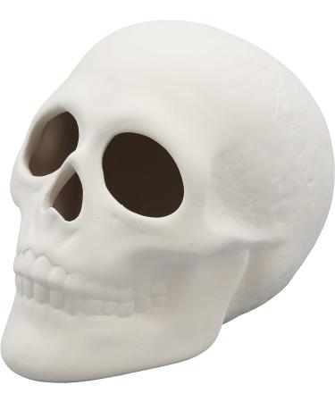 5x4 Inch Skull Ceramic Bisque - Paint Your Own Pottery Kit Included - Buy Online on GoSupps.com