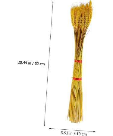 TOPBATHY Wheat Ear 200 Pcs Dried Wheat Ears Bouquet Barley Gift Dried Flowers. Wheat Ears Decor Yellowx2pcs 52X10CMx2pcs - Buy Online on GoSupps.com