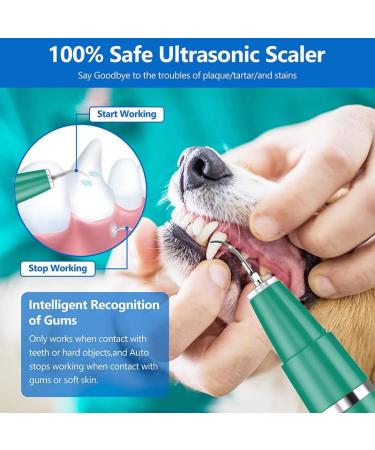 Ultrasound Tartar Remover Tooth Cleaner for Dogs & Cats | Dental Care Set for Healthy Teeth & Fresh Breath - Buy Online on GoSupps.com