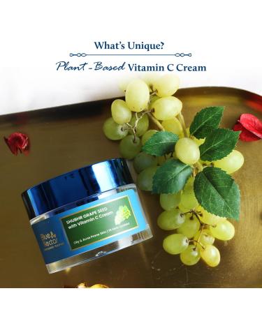 Blue Nectar Vitamin C Face Moisturizer for Oily & Acne Prone Skin | Oil-Free Non-Greasy Cream with Grapeseed | 19 Herbs for Men (1.76 fl oz) - International Shipping Available - Buy Online on GoSupps.com