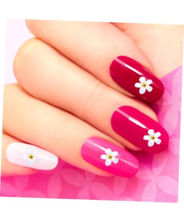 FRCOLOR 18 Boxes Nail Art Accessories 3d Flowers for Nails Manicure Ornament Nail Decorations Nail Art Diy Flower Decor Nail Art Charms Nail Flatback Charms Resin Unique - Buy Online on GoSupps.com