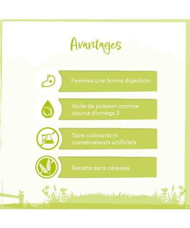 Wild Animal Mini Premium Dry Dog Food for Small Breeds Lamb with Sweet Potato and Mint Grain Free Pack of 1 (1 x 2 kg) - Buy Online on GoSupps.com