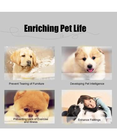 Smandy Dog Door Bell - Training Bells for Pets & Puppies | Communicate Cleanliness & Potty Training | White - Buy Online on GoSupps.com
