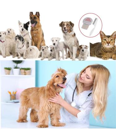 Qtopun Nits Free Lice Comb - Stainless Steel Louse & Flea Comb for Dogs & Cats (6 Pack) | Quality Pet Grooming Tool - Buy Online on GoSupps.com