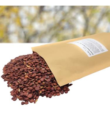 Seed of Spine Dates Spine Date Seed Suan Zao Ren - ( )300g - Product of China