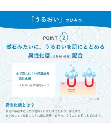 Hadalabo Japan Gokujyun Hyaluronic Acid Cleanser (160ml) 2-set - 5.4 Fl Oz (Pack of 2) - Buy Online on GoSupps.com