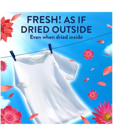 Lenor Outdoorable Fabric Conditioner Ultra Concentrated Freshness Desert Rose 55w 770ml + Our Gift for You: Organza Small Bag: 9x7x0.1cm - Buy Online on GoSupps.com