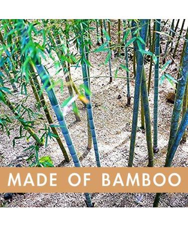 Laboos Best Nature Bamboo Toothbrush - Extra Soft Bristles, Biodegradable (4 PCS) - Buy Online on GoSupps.com