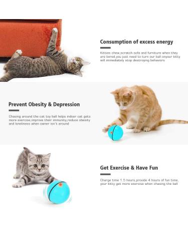 WWVVPET Interactive Cat Toy Ball with LED Light - 360 Self-Rotating USB Rechargeable | Fun Hunting Instinct Stimulation for Cats - Buy Online on GoSupps.com