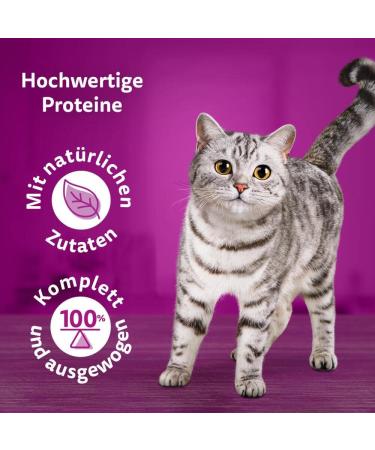 Whiskas 1+ Cat Food Pure Delight Classic Selection in Jelly - 12x85g (4 Packs) - Premium Wet Food for Adult Cats - 48 Portion Bags Classic Ragout - Buy Online on GoSupps.com