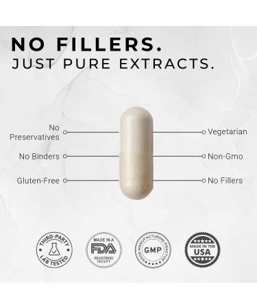 ACEWORKZ Elite Brain Supplement - Nootropic for Focus Memory & Clarity | Natural Energy Caffeine-Free | 60 Capsules - Buy Online on GoSupps.com