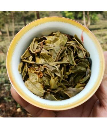 HELLOYOUNG 357g de th Pu'er de printemps bio et naturel du Yunnan Traditionnellement frit la main ce th vert au go t onctueux est id al pour les amateurs de th  - Buy Online on GoSupps.com