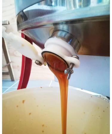 Raw Buckwheat Honey - 300g- 100% Natural Harvested in the Breton regions a pure and unique honey. - Buy Online on GoSupps.com