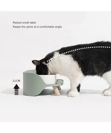 Shop Lizealucky Increased Ceramic Cat Bowls - Prevent Vomiting & Protect Spine | Double Feeding & Water Bowls (Green) - International Shipping Available - Buy Online on GoSupps.com