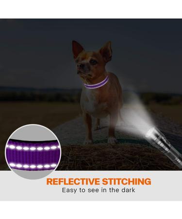 Taglory Purple XS Dog Collar - Soft Padded Neoprene & Nylon Adjustable & Reflective for Training - Perfect for Puppies - Buy Online on GoSupps.com