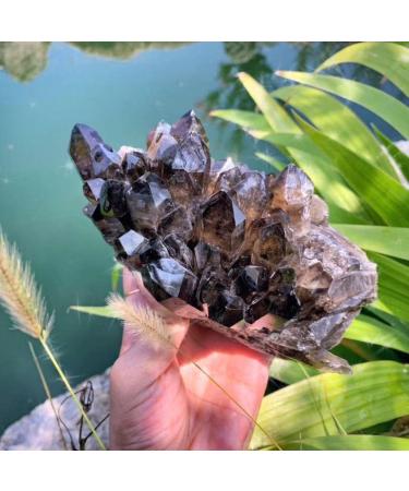 Gift Natural Crystal Aura Smoked Quartz Cluster Folk Rough Natural Crystal Stone ZJGIDTEM (Size : 300-350g) - Buy Online on GoSupps.com