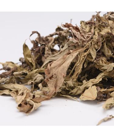 cn herb 250g Dried Mugwort Leaves Soak Feet In A Bath - Buy Online on GoSupps.com