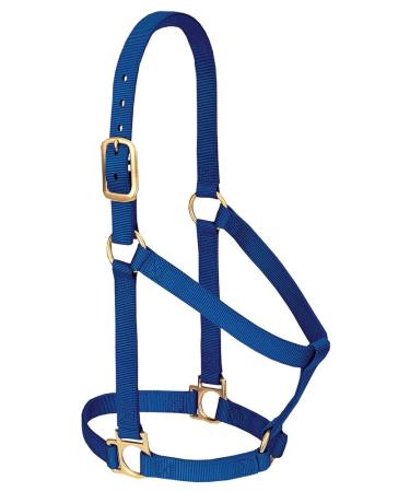 Weaver Leather Basic Non-Adjustable Nylon Horse Halter Average Horse Blue