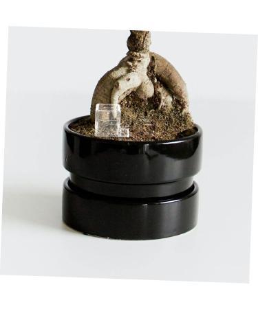 Balacoo Pet Water Feeder Ants Watering Cup Ants Drinking Bowls Water Feeding Cup for Ants Nest Plastic - Buy Online on GoSupps.com