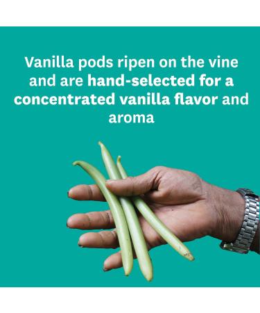 Heilala Vanilla Bean Paste - Gourmet Baking Paste with Real Ground Vanilla Beans - Buy Online on GoSupps.com