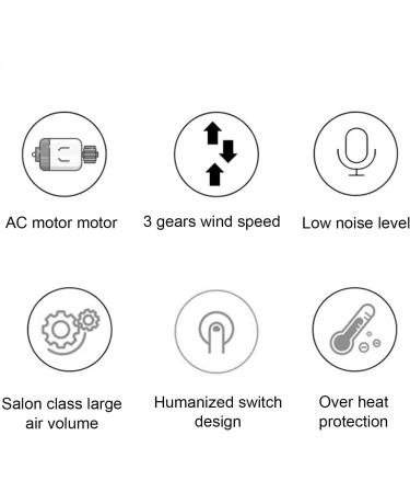 Electronic Hair Dryer Compact Hair Dryer Fast Drying Low Noise Blow Dryer High Powered Overheat Negative Ion Hair Dryer for Home (US Plug 110V) - Buy Online on GoSupps.com