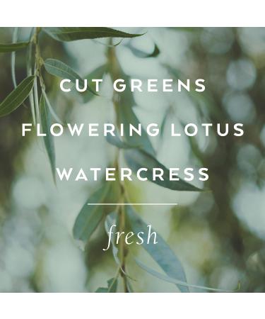 Library of Flowers Willow & Water Eau de Parfum 1.69 Fl. Oz. Cut Greens Flowering Lotus & Watercress Women s Perfume Eau de Parfum Spray for Women Perfume for Women - Buy Online on GoSupps.com