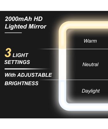 Jadazror Lighted Makeup Case with Mirror & Lights, Brown Travel Bag with Partitionable Design and 10X Magnifying Mirror - Buy Online on GoSupps.com