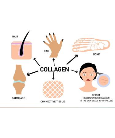Omega Alpha Collagen Beauty -60 Vcaps - Buy Online on GoSupps.com