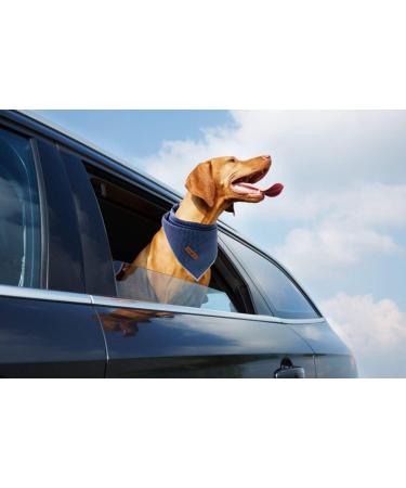 Lionet Paws Dog Bandana Headscarves - Blue Dotted Triangle Scarf (Pack of 1) | Stylish & Comfortable Dog Accessories for Every Occasion - Buy Online on GoSupps.com